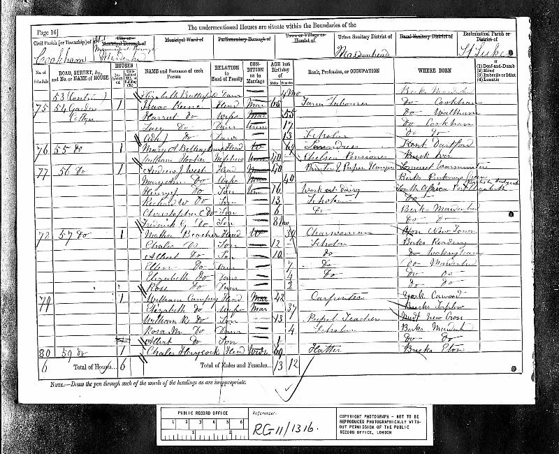 Billinghurst (Mary Ann nee Rippington) 1881 Census